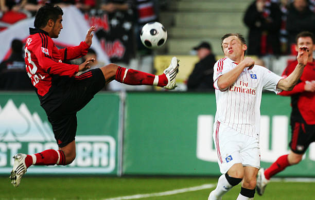 与许多纯粹 与许多纯粹