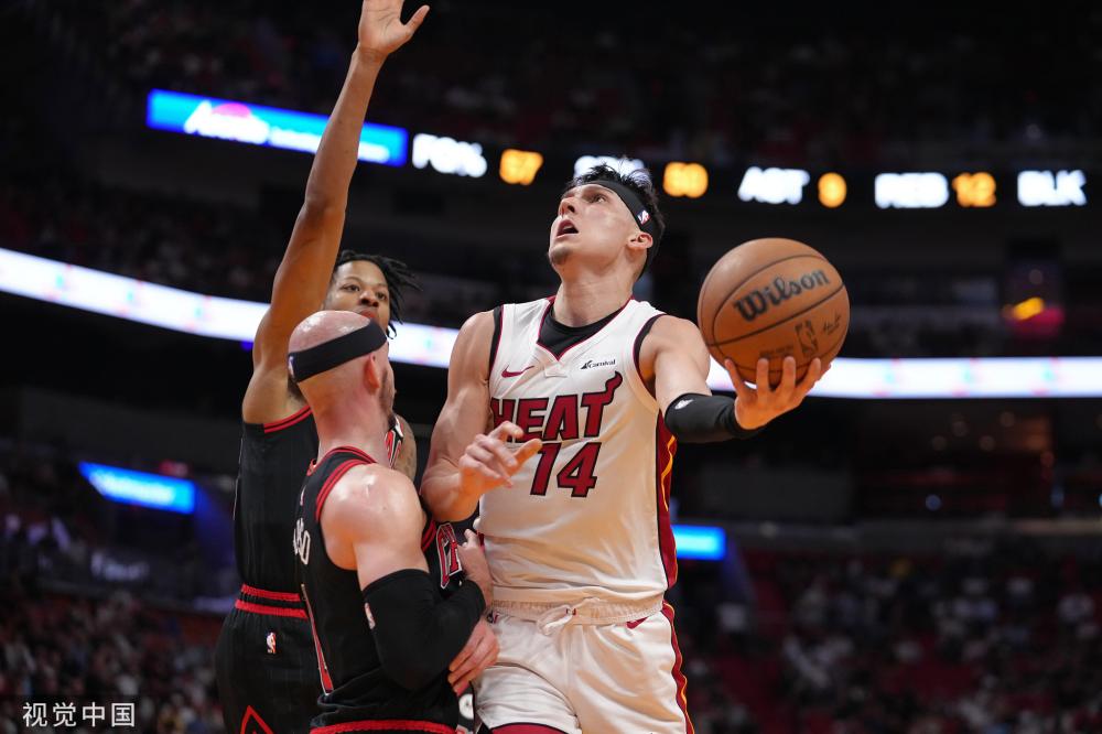 家队的主力 家队的主力